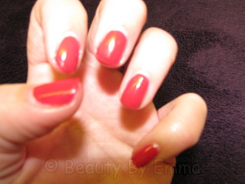 Shellac Wildfire - Day 8
